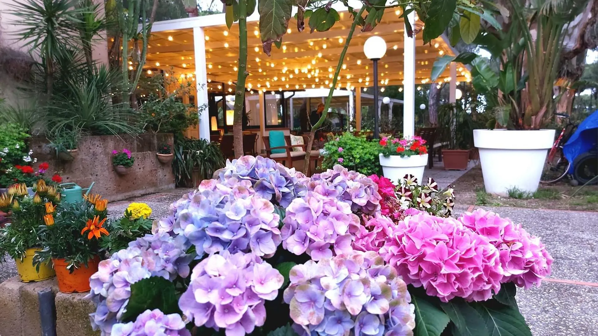 Hotel Giardino Capoliveri  Italia